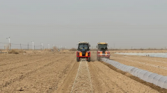 吐鲁番市举办西甜瓜机械化种植现场会